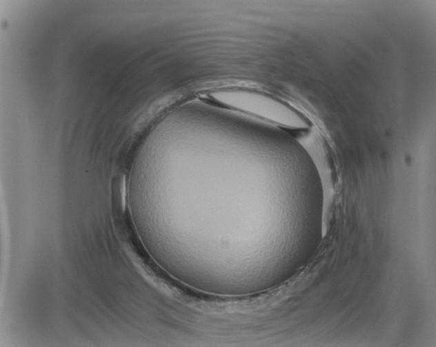 X0000080680013200612301436