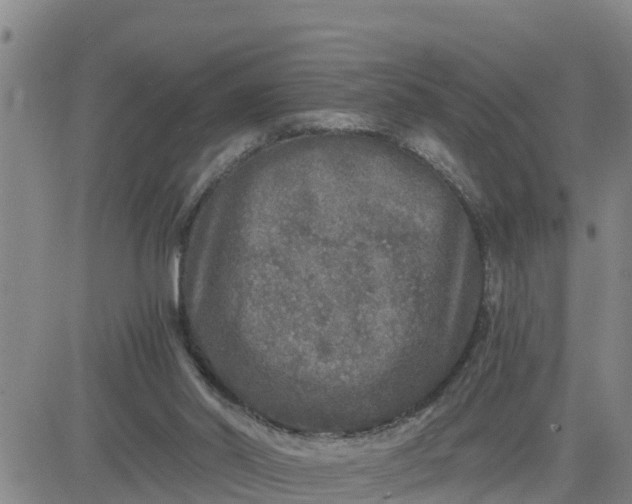 X0000080680014200612301436