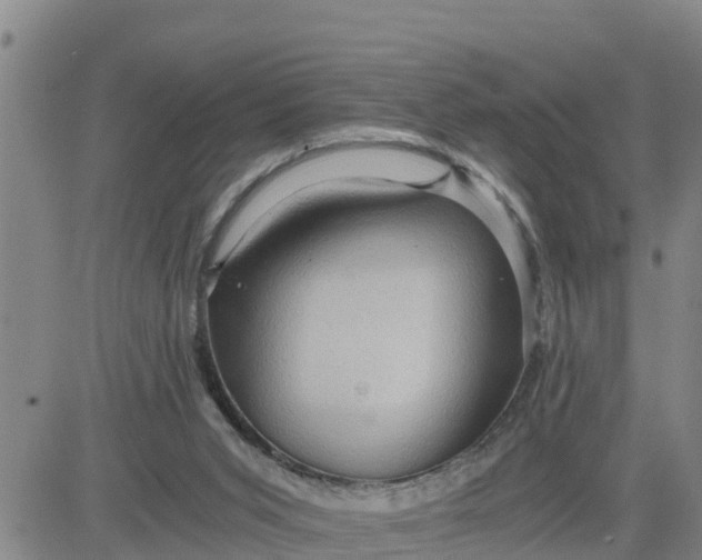 X0000080680015200612301436