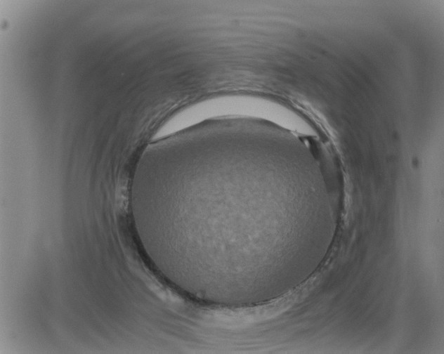 X0000080680017200612301436