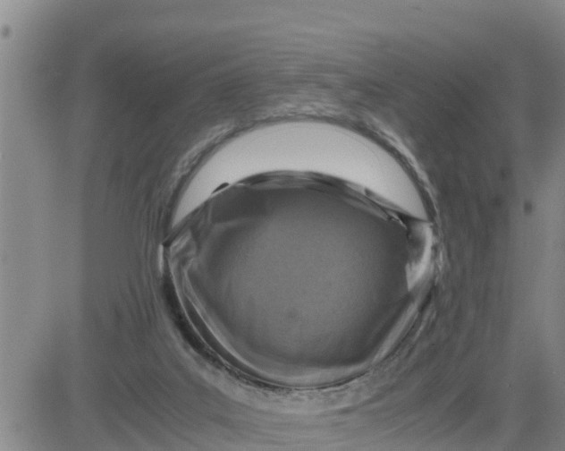 X0000080680019200612301436