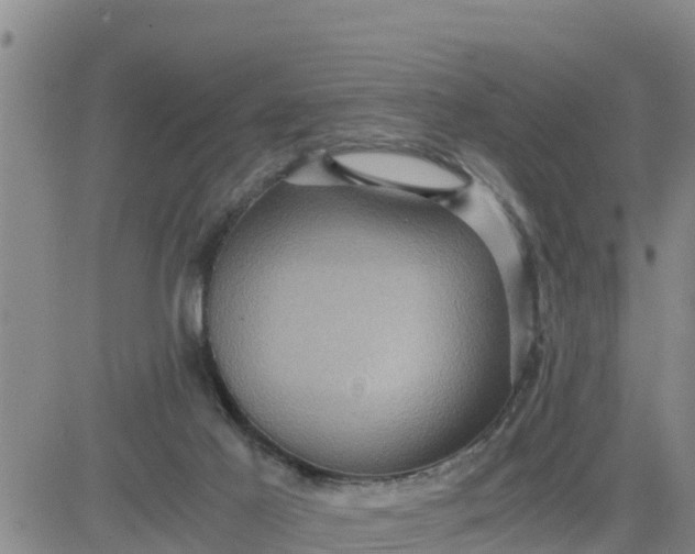 X0000080680021200612301436