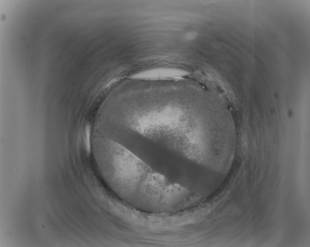 X0000080680022200612301436