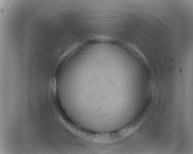 X0000080680024200612301436