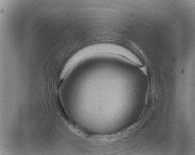 X0000080680025200612301436