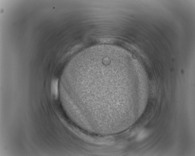 X0000080680028200612301436