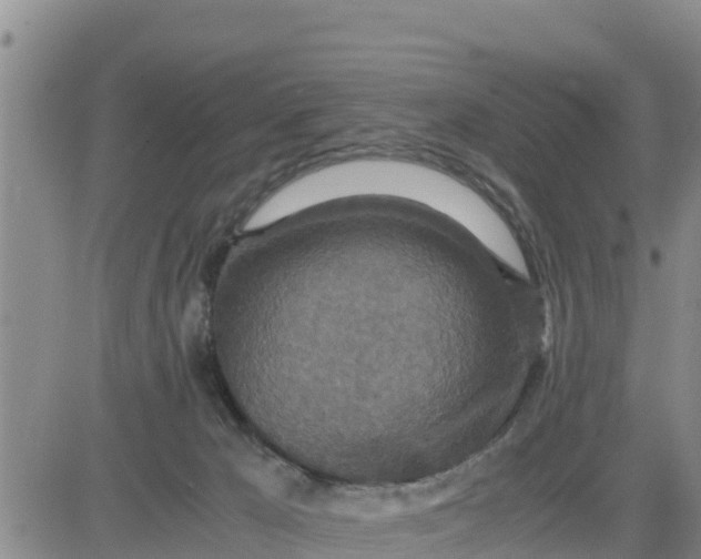 X0000080680029200612301436