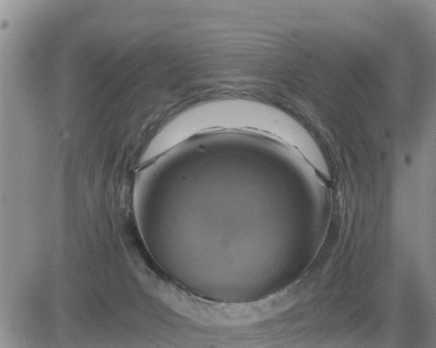 X0000080680031200612301436