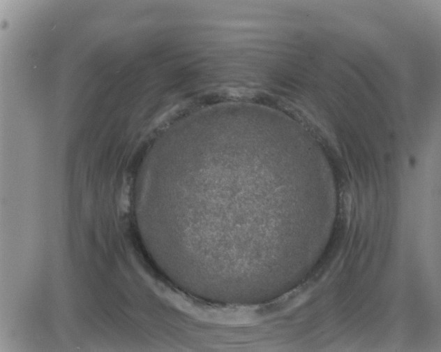 X0000080680032200612301436