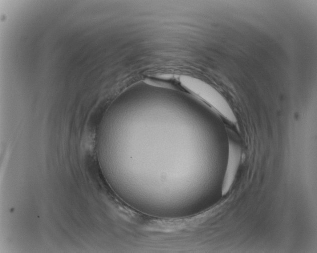 X0000080680033200612301436