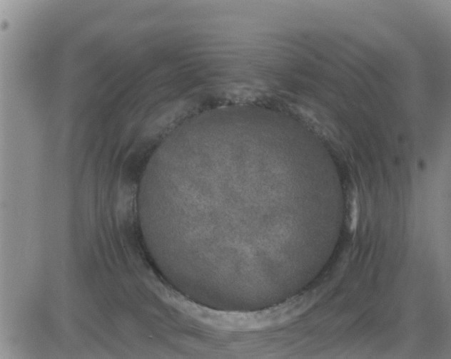 X0000080680034200612301436