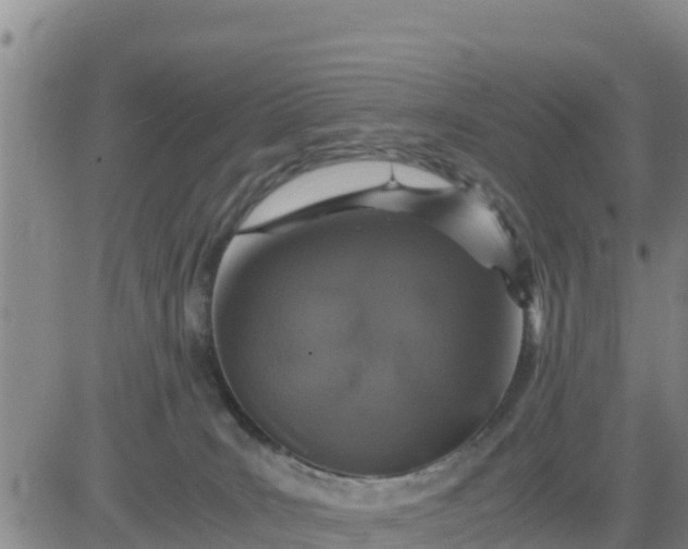 X0000080680035200612301436