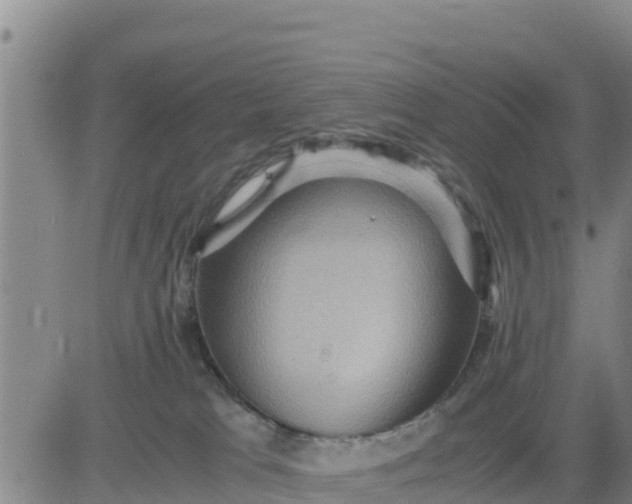 X0000080680037200612301436