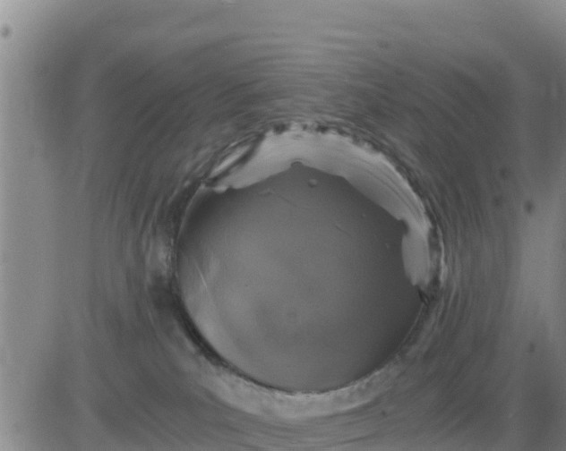 X0000080680039200612301435