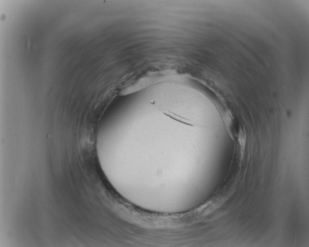 X0000080680040200612301435