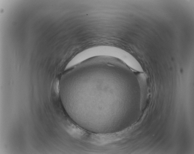 X0000080680041200612301435