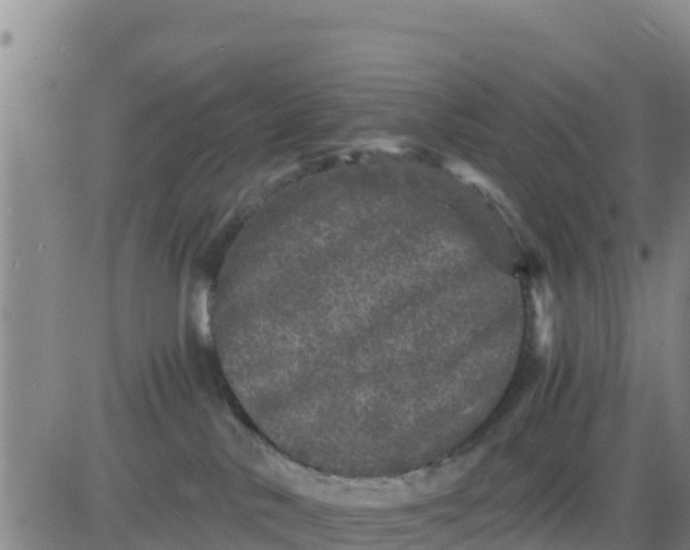 X0000080680042200612301435