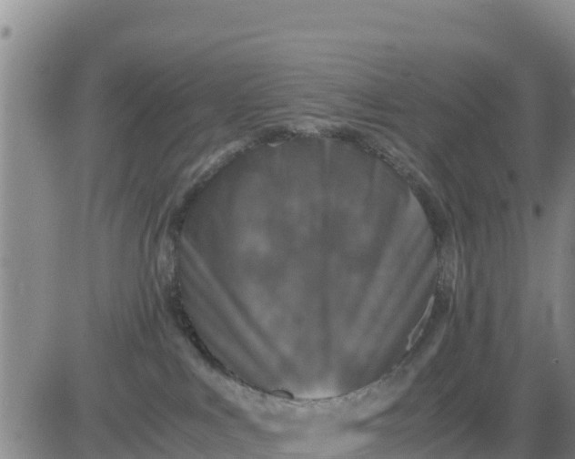 X0000080680043200612301435