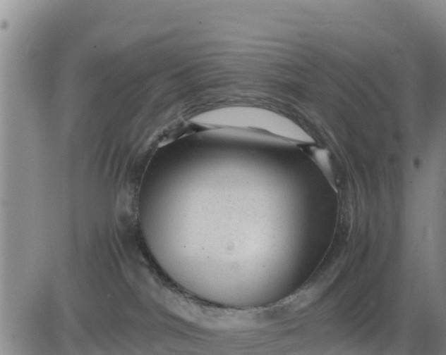 X0000080680044200612301435