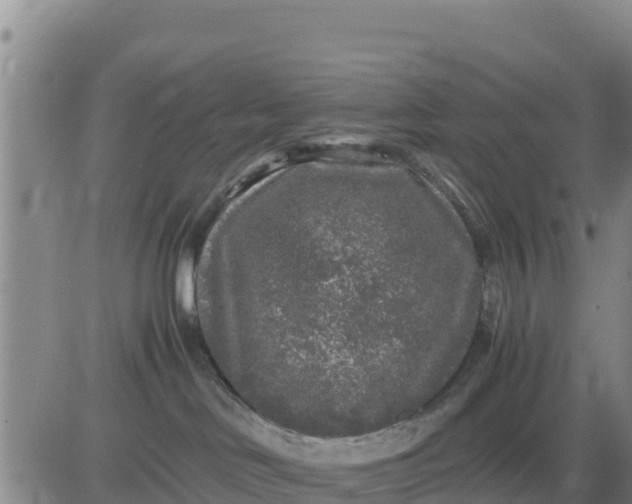 X0000080680046200612301435