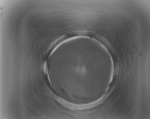 X0000080680047200612301435