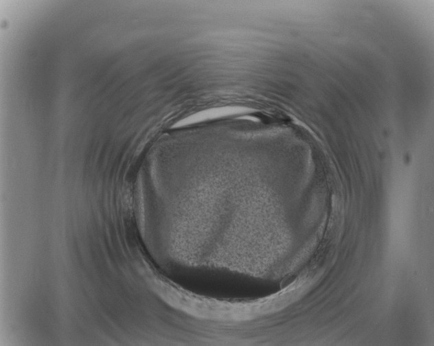 X0000080680048200612301435