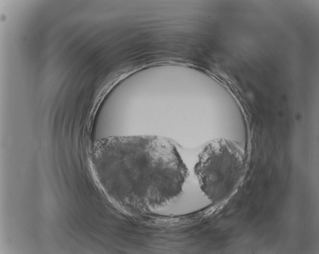 X0000080680049200612301435