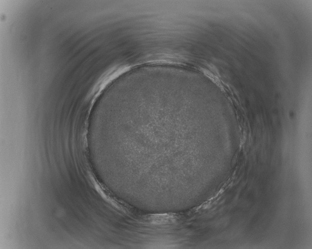 X0000080680050200612301435