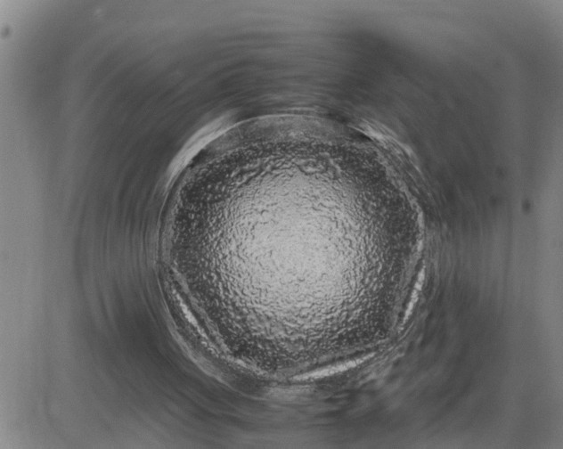 X0000080680051200612301435