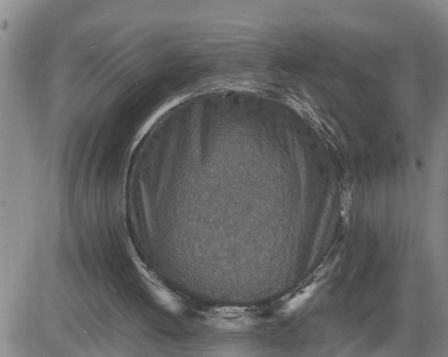 X0000080680052200612301435