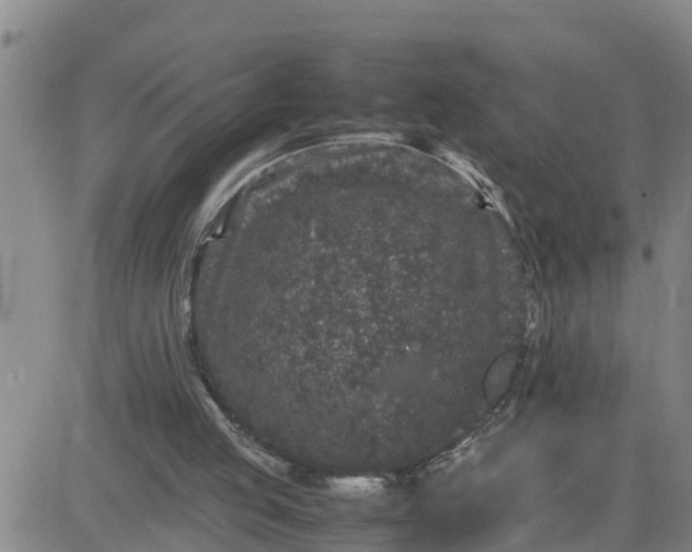 X0000080680053200612301435