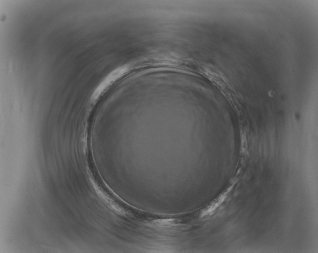 X0000080680054200612301435