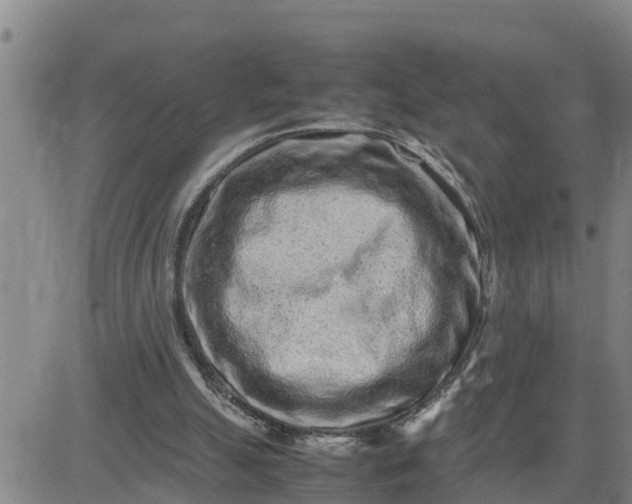 X0000080680055200612301435