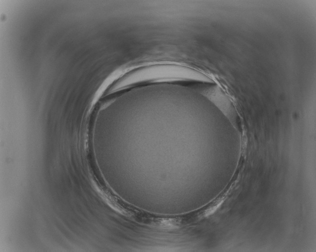 X0000080680056200612301435