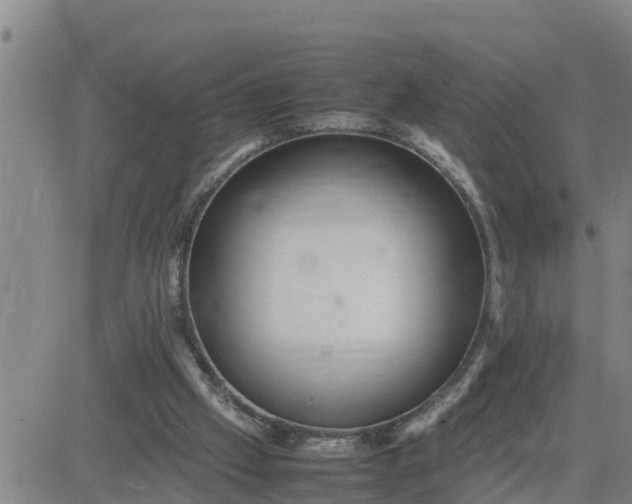 X0000080680057200612301435