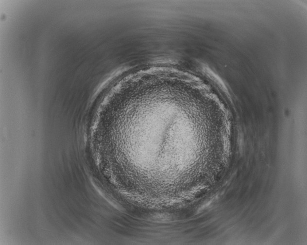 X0000080680059200612301435