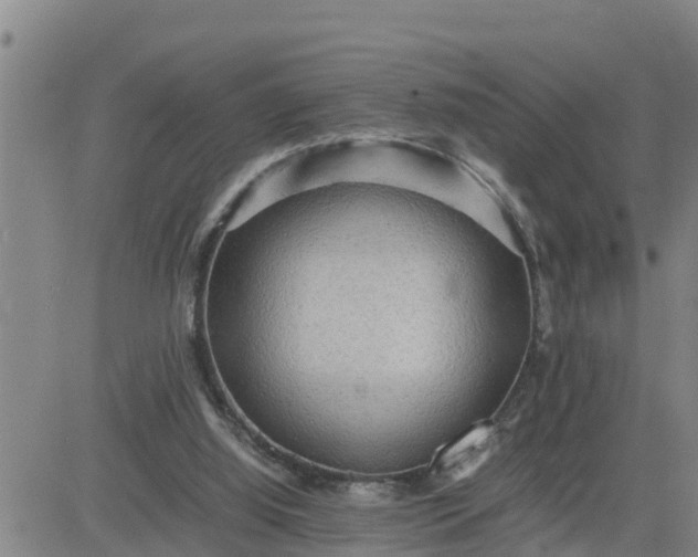 X0000080680060200612301435