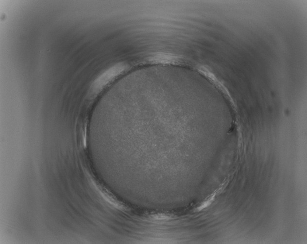 X0000080680062200612301435