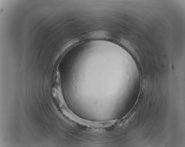 X0000080680063200612301435