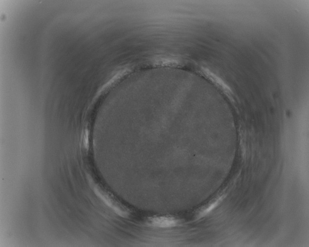 X0000080680067200612301435