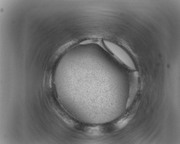 X0000080680068200612301435