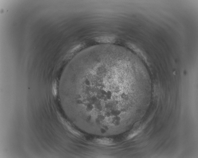 X0000080680069200612301435