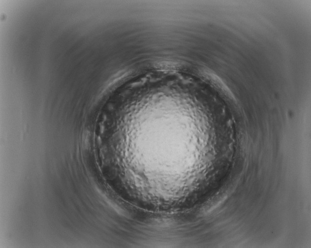 X0000080680071200612301435