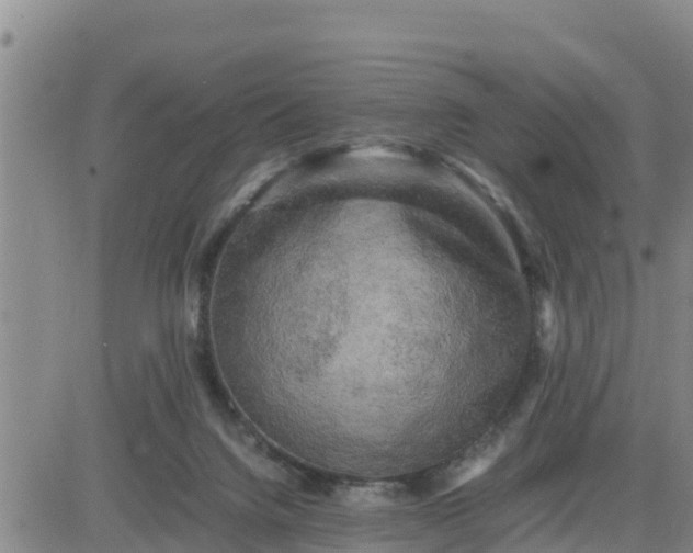 X0000080680072200612301435