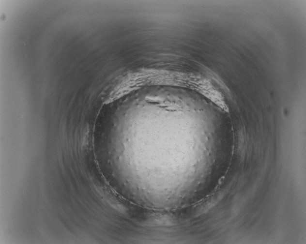 X0000080680073200612301435