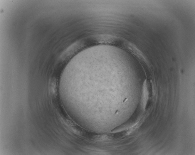 X0000080680074200612301435