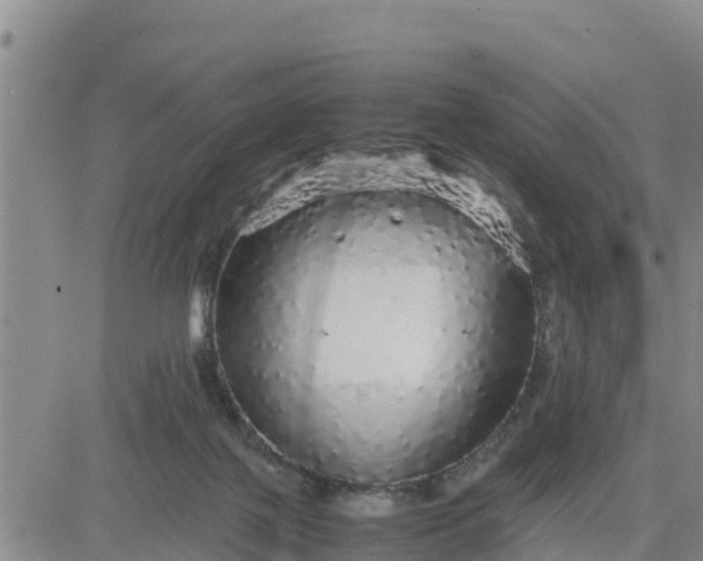 X0000080680075200612301435