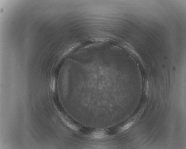 X0000080680076200612301435