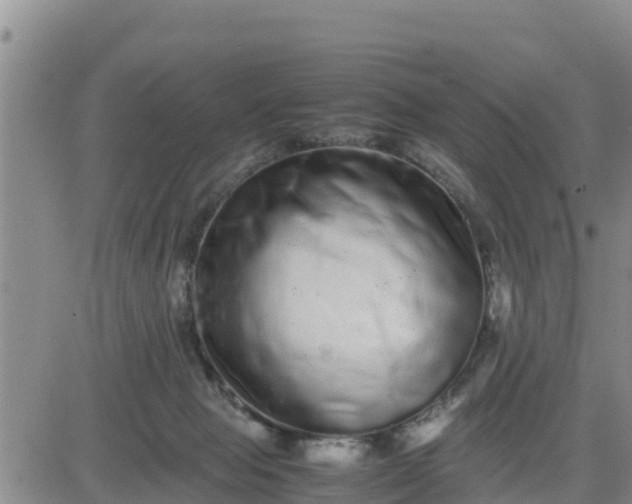 X0000080680077200612301435