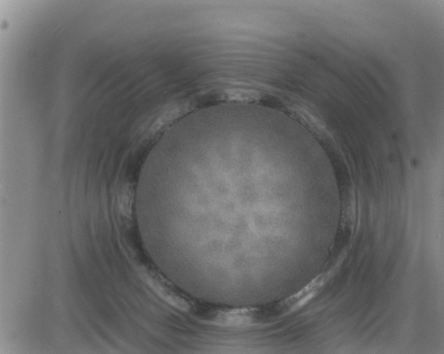 X0000080680078200612301435